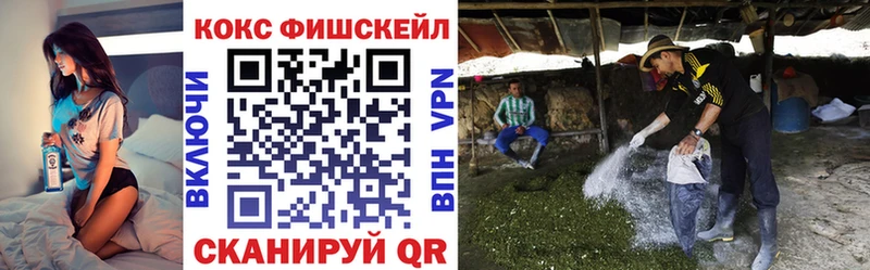 Купить где  Тотьма  Cocaine Эквадор 