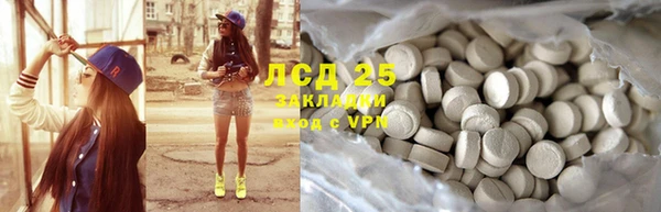 СК Зерноград