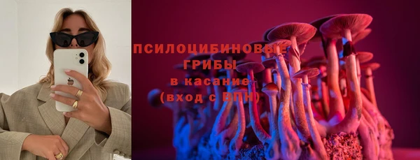 СК Зерноград