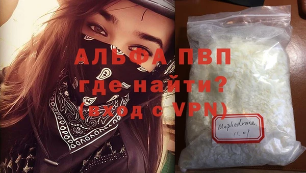 СК Зерноград
