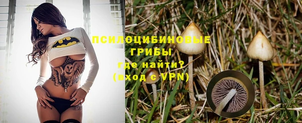 СК Зерноград
