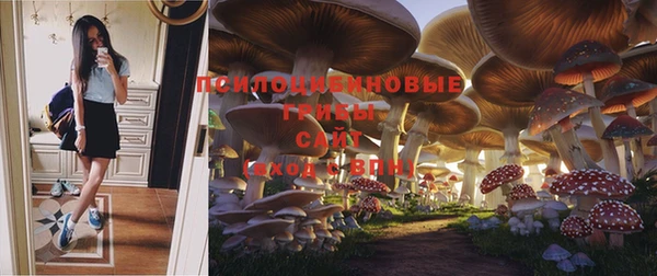 СК Зерноград