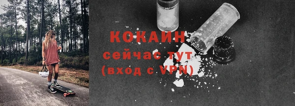 СК Зерноград