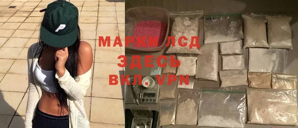 СК Зерноград